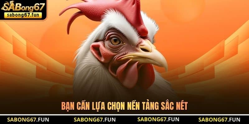 Bạn cần lựa chọn nền tảng sắc nét