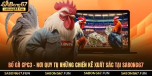 Bồ Gà CPC3 – Nơi Quy Tụ Những Chiến Kê Xuất Sắc Tại SABONG67