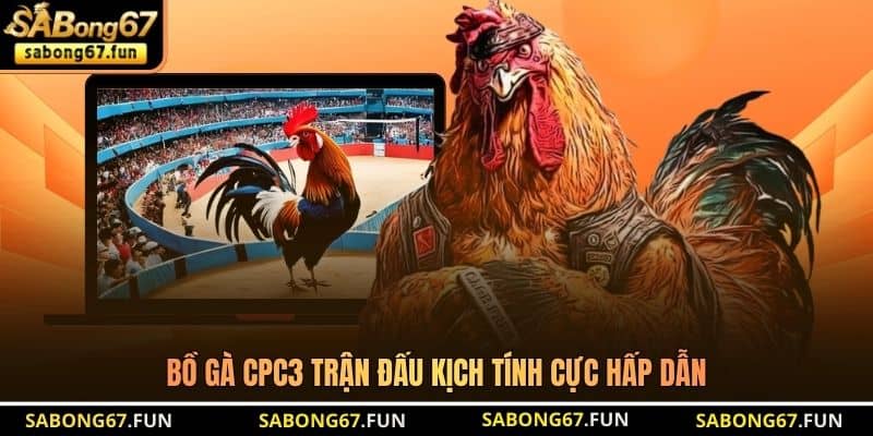 Bồ gà CPC3 trận đấu kịch tính cực hấp dẫn