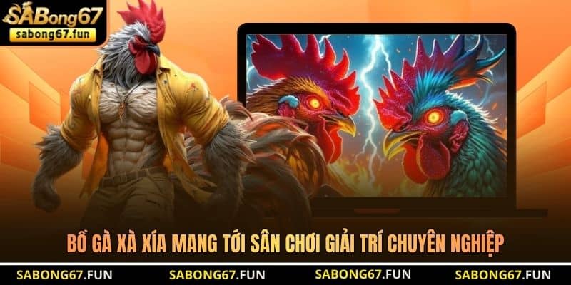 Bồ Gà Xà Xía mang tới sân chơi giải trí chuyên nghiệp Bồ Gà Xà Xía mang tới sân chơi giải trí chuyên nghiệp