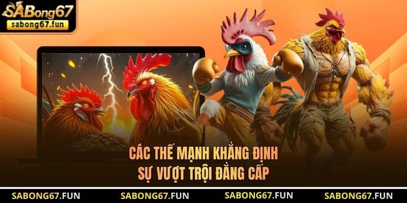 Các thế mạnh khẳng định sự vượt trội đẳng cấp