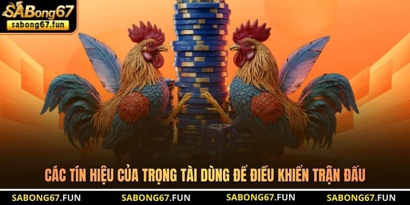 Các tín hiệu của trọng tài dùng để điều khiển trận đấu