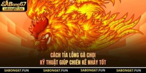 Cách Tỉa Lông Gà Chọi - Kỹ Thuật Giúp Chiến Kê Nhảy Tốt