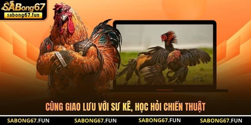 Cùng giao lưu với sư kê, học hỏi chiến thuật Cùng giao lưu với sư kê, học hỏi chiến thuật