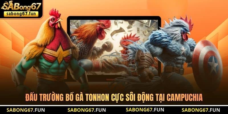 Đấu trường bồ gà Tonhon cực sôi động tại Campuchia Đấu trường bồ gà Tonhon cực sôi động tại Campuchia