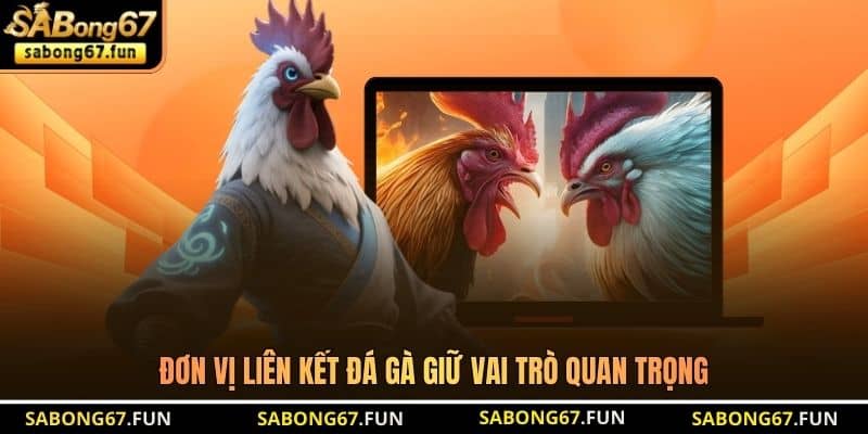 Đơn vị liên kết đá gà giữ vai trò quan trọng Đơn vị liên kết đá gà giữ vai trò quan trọng