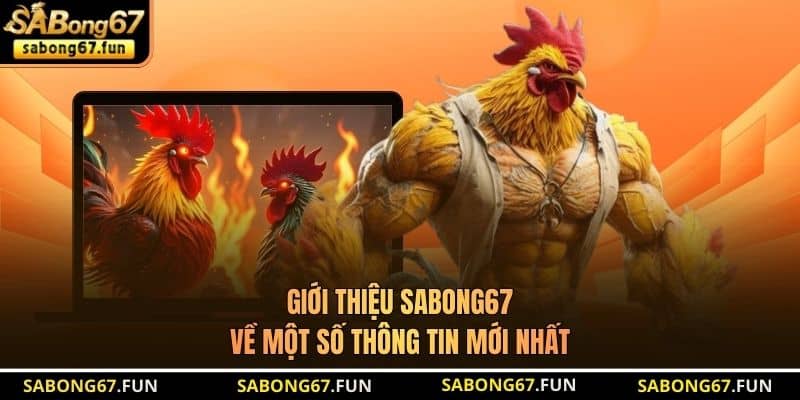 Giới thiệu SABONG67 về một số thông tin mới nhất