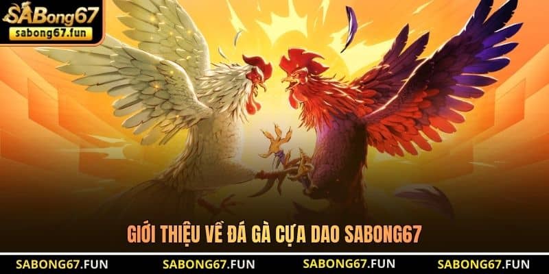 Giới thiệu về đá gà cựa dao SABONG67