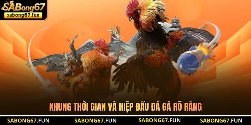 Khung thời gian và hiệp đấu đá gà rõ ràng