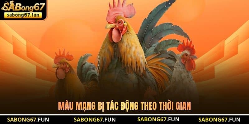 Màu mạng bị tác động theo thời gian