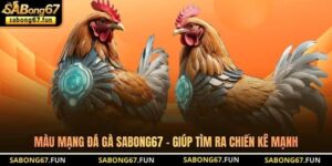 Màu Mạng Đá Gà SABONG67 - Giúp Tìm Ra Chiến Kê Mạnh