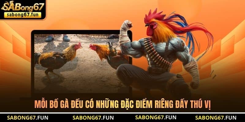 Mỗi bồ gà đều có những đặc điểm riêng đầy thú vị Mỗi bồ gà đều có những đặc điểm riêng đầy thú vị