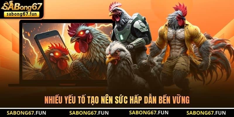 Nhiều yếu tố tạo nên sức hấp dẫn bền vững Nhiều yếu tố tạo nên sức hấp dẫn bền vững