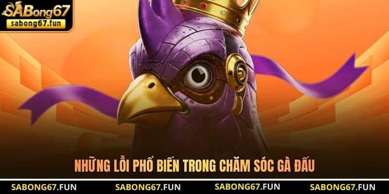 Những lỗi phổ biến trong chăm sóc gà đấu