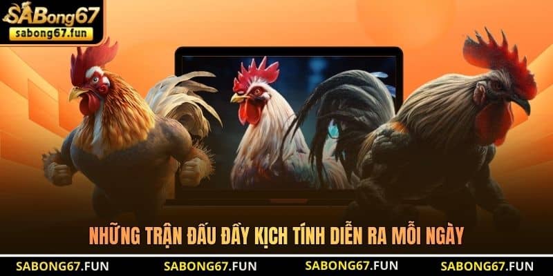 Những trận đấu đầy kịch tính diễn ra mỗi ngày Những trận đấu đầy kịch tính diễn ra mỗi ngày