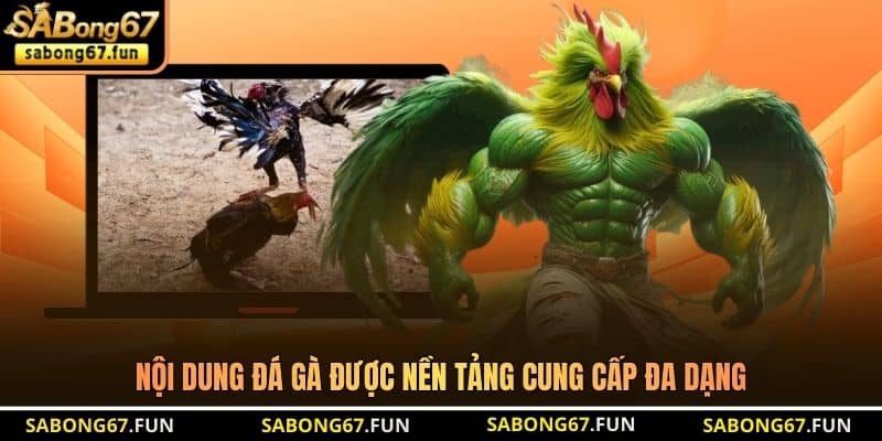 Nội dung đá gà được nền tảng cung cấp đa dạng Nội dung đá gà được nền tảng cung cấp đa dạng