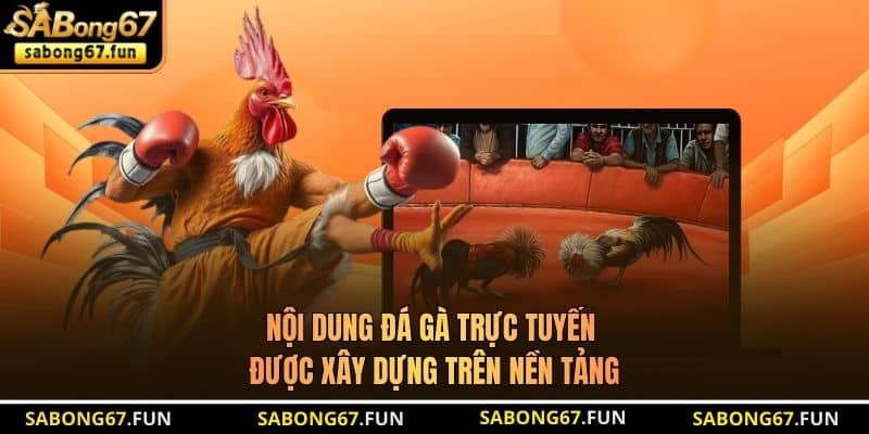 Nội dung đá gà trực tuyến được xây dựng trên nền tảng