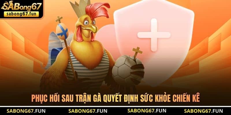 Phục hồi sau trận gà quyết định sức khỏe chiến kê