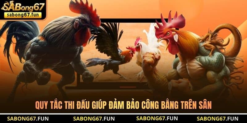 Quy tắc thi đấu giúp đảm bảo công bằng trên sân