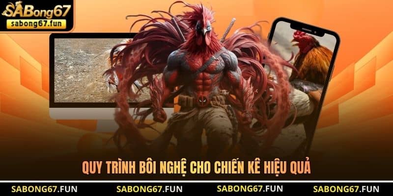 Quy trình bôi nghệ cho chiến kê hiệu quả