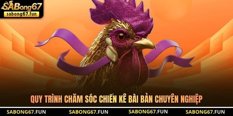 Quy trình chăm sóc chiến kê bài bản chuyên nghiệp