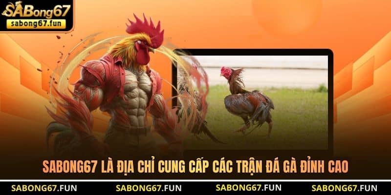 SABONG67 là địa chỉ cung cấp các trận đá gà đỉnh cao SABONG67 là địa chỉ cung cấp các trận đá gà đỉnh cao