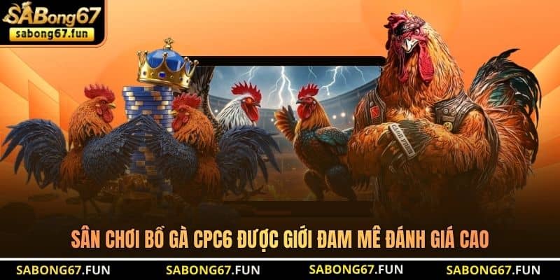 Sân chơi Bồ Gà CPC6 được giới đam mê đánh giá cao