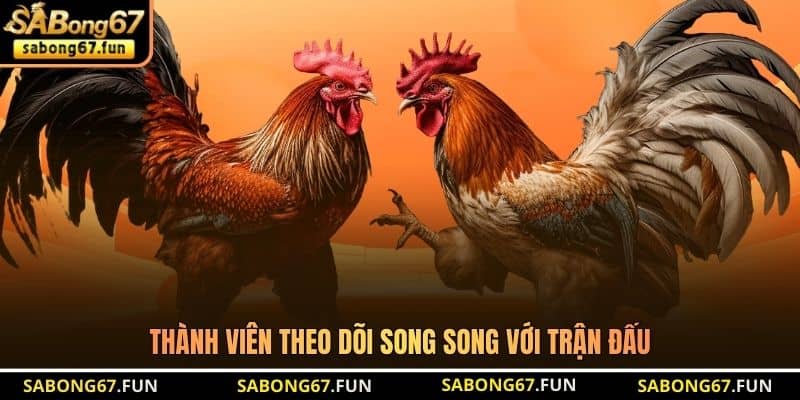 Thành viên theo dõi song song với trận đấu