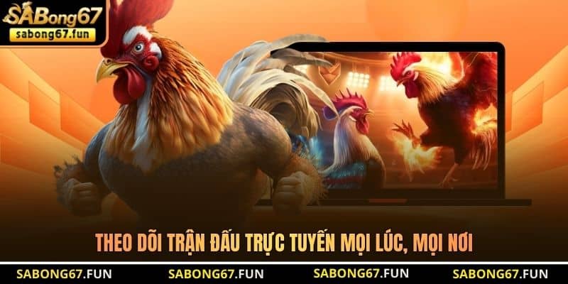 Theo dõi trận đấu trực tuyến mọi lúc, mọi nơi