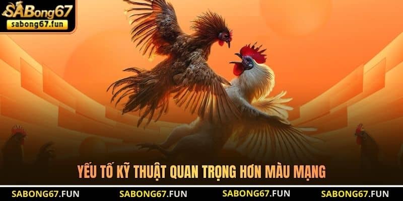 Yếu tố kỹ thuật quan trọng hơn màu mạng